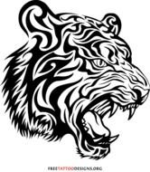 Tribal Tiger Tattoos