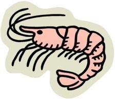 pink crustacean as a picture for clipart