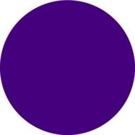 purple circle on a white background