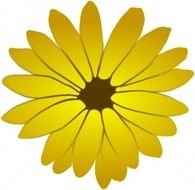 Clip Art Borders Flowers Free Download