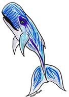 Pin Blue Whale Drawing