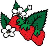Strawberries At Clkercom Vector Online Royalty