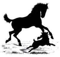 Silhouette Horse And Dog drawing