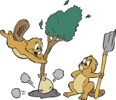 Beavers Planting A Tree At Clkercom Vector Online
