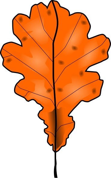 10 Fall Leaves Frees That You Can Download To
