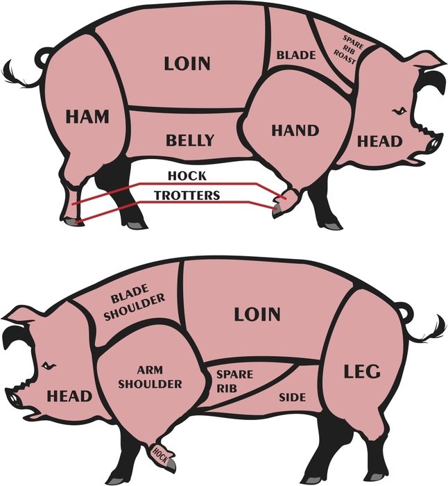 Pig Silhouette drawing