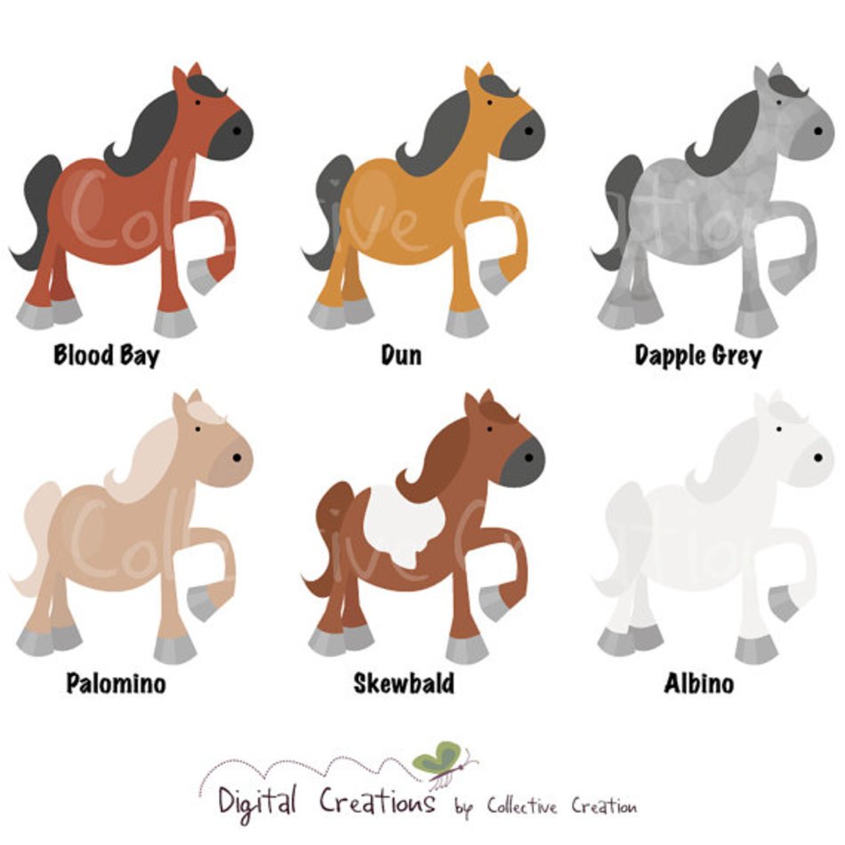 Horse Color Chart Digital Set For Personal N2