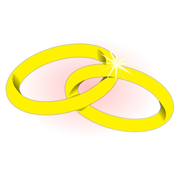 Joined Wedding Rings N3