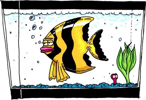 Aquarium Images drawing