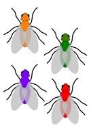 Fly Swatter drawing