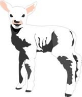 Baby lamb clipart