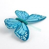 Schmetterling Aqua Mit Clip 12cm Accessoires Floristik &amp; Deko