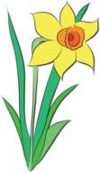 Clipart of the yellow flower