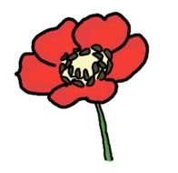 Poppy Seed Flower