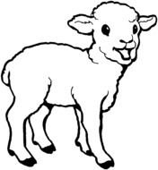 Black and white drawing of the sheep clipart