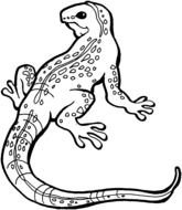 Lizard Coloring Pages drawing