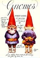 Gnomebookcoverjpg 84590 Bytes