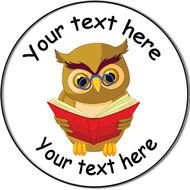Wise Owl Pictures Panda Free Images