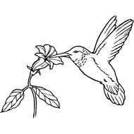 Fantastic Bird Coloring Sheets For Kids Or Decorative Purposes