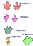 Dinosaur Footprints as a picture for clipart