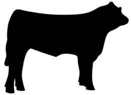 black silhouette of a bull