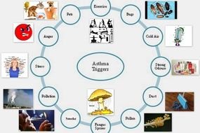 Asthma Triggers drawing