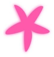 Pink Starfish Clip Art Hipng
