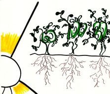 Seeds and sun drawing