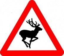 Stock Set Free Animated Gallery Buck Clip