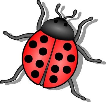 Ladybug Cartoon Frees That You Can Download To