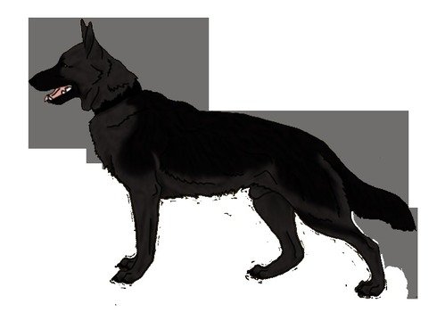 Angry Dog Pictures Frees That You Can Download To