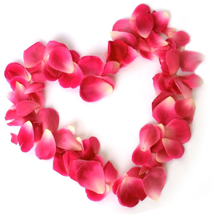 heart petals drawing