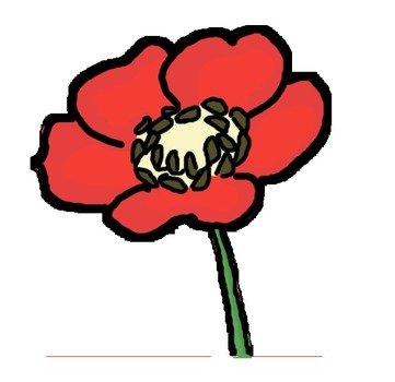 Poppy Seed Flower