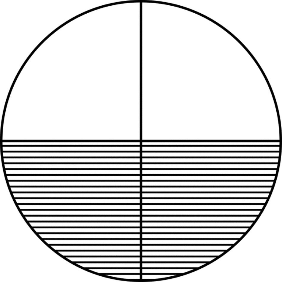 Fraction Pie Divided Into Quarters Etc
