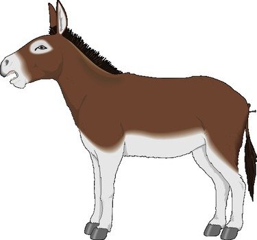 Free To Use & Public Domain Animals