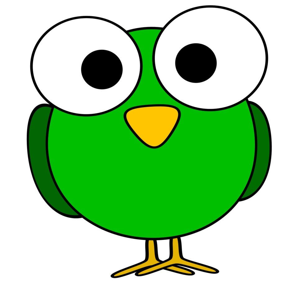 green bird cartoon drawing