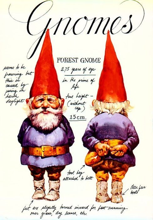 Gnomebookcoverjpg 84590 Bytes