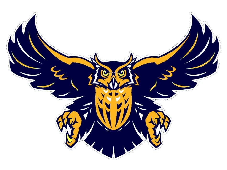 owl logo on a white background
