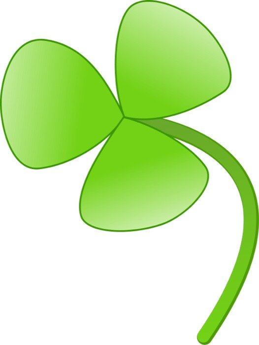 Are Lucky Heres A Nice Of Common Clover With 3 Leaves