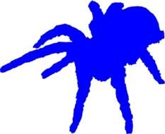 Silhouette spider drawing