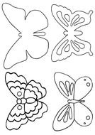 four butterfly sketches