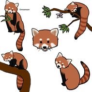 Cute Drawings Of Red Pandas