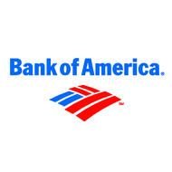 bank of america logo drawing