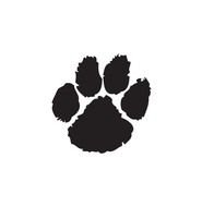 Bobcat Paw drawing