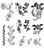 Vector Floral Pack drawing