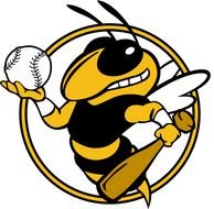 Carillon Minor Baseball drawing