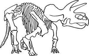skeleton of a dinosaur as a picture for clipart