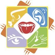 Sensory Activities And Relaxation