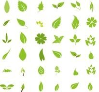 collage of green leaves