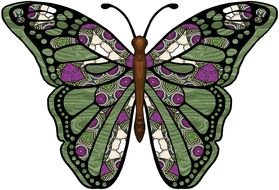 green butterfly with geometric patterns